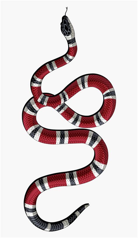 snake gucci verctor|Gucci Snake PNG Transparent Images Free Download .